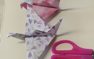 Origami en 5e