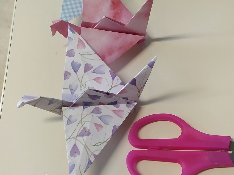 Origami en 5e